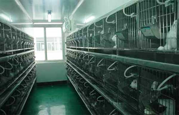 動(dòng)物實(shí)驗(yàn)室工程